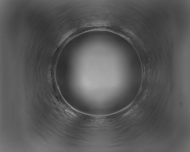 X0000053021162200507081318