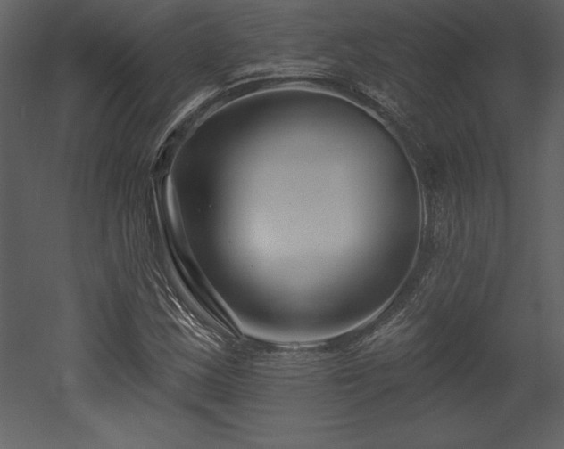 X0000053021163200507081318