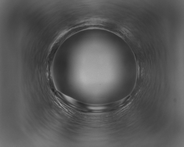 X0000053021164200507081318