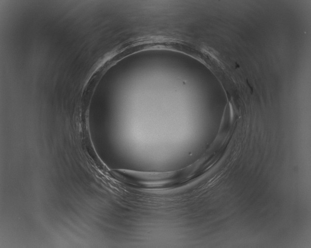 X0000053021165200507081318