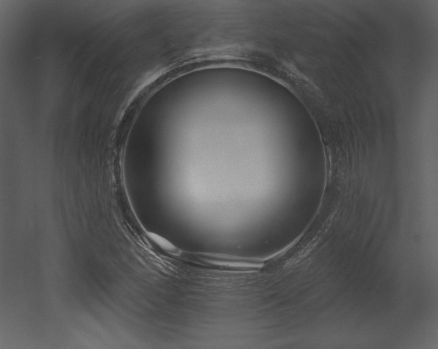 X0000053021166200507081318