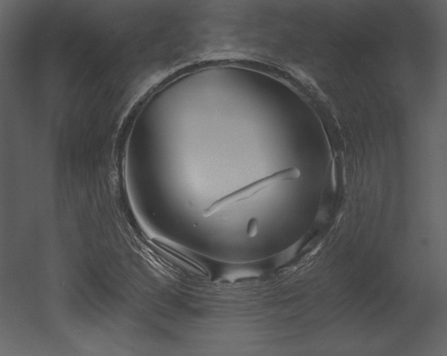 X0000053021167200507081318