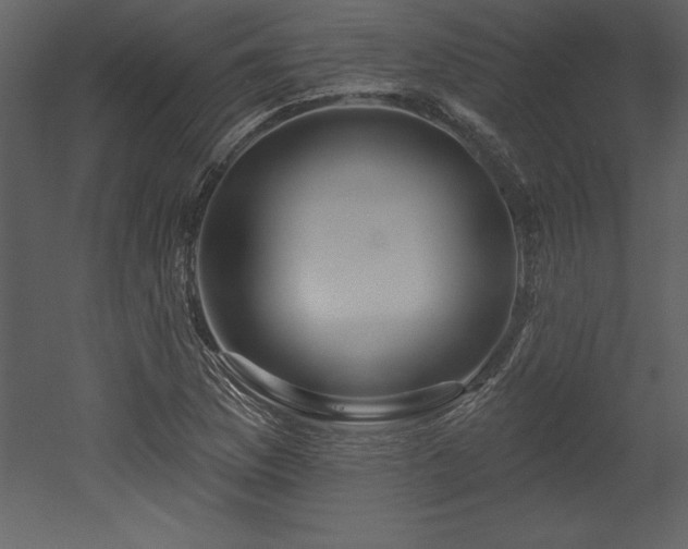 X0000053021169200507081318
