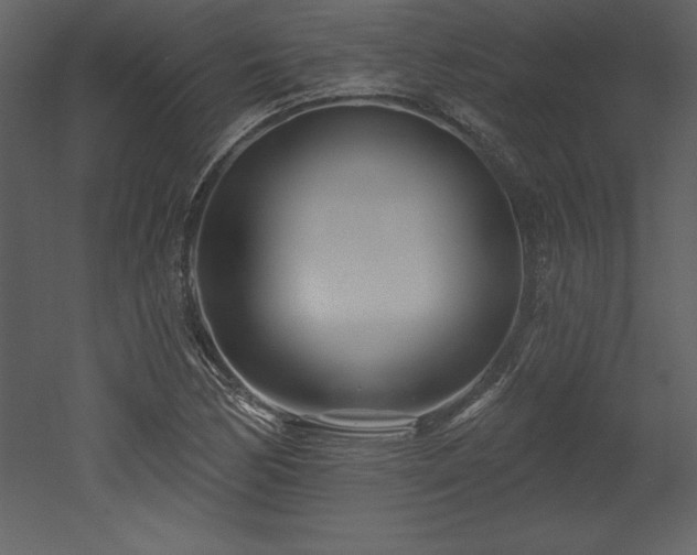 X0000053021170200507081318