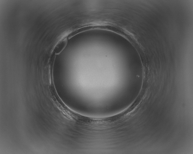 X0000053021171200507081318
