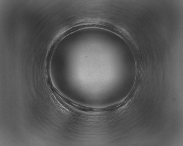 X0000053021172200507081318