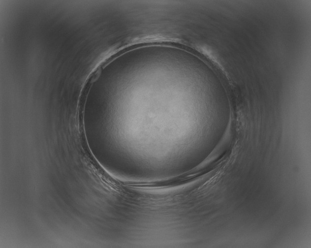 X0000053021173200507081318