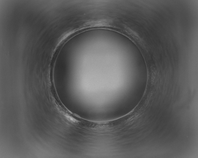 X0000053021174200507081318