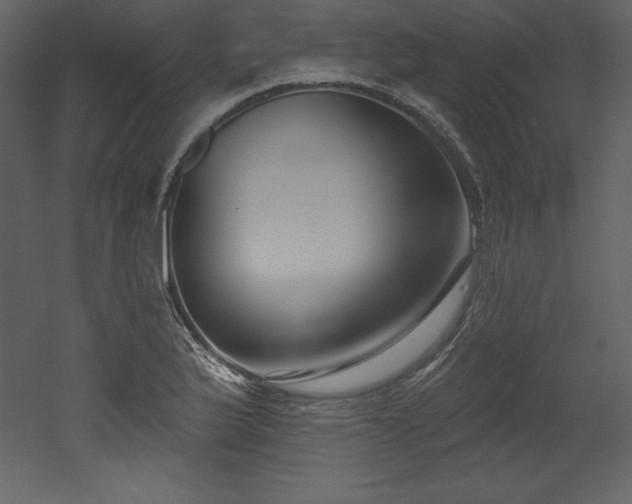 X0000053021175200507081318
