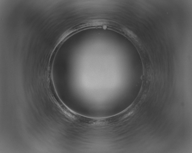 X0000053021178200507081318