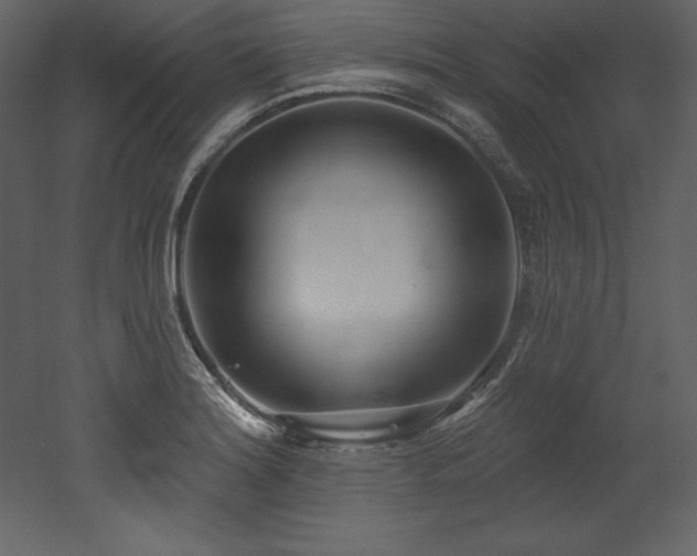 X0000053021180200507081318