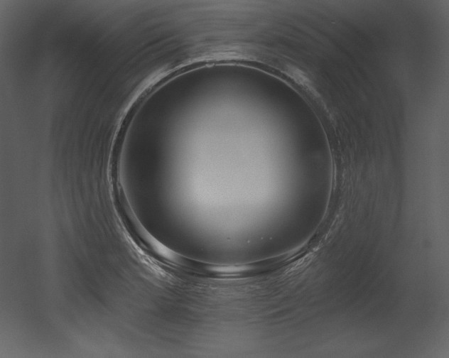 X0000053021181200507081318