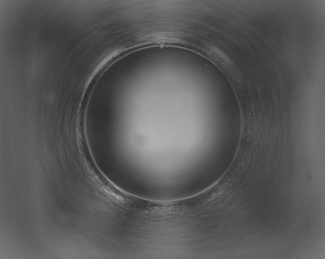 X0000053021182200507081318