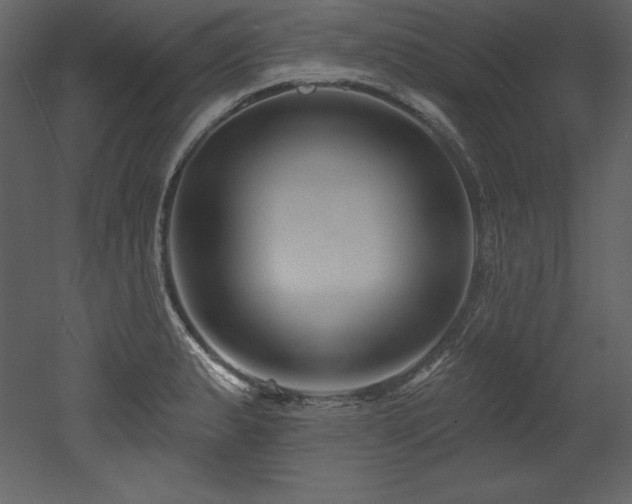 X0000053021183200507081318