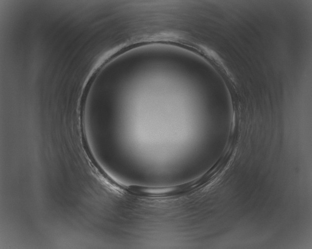 X0000053021184200507081318