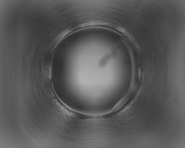 X0000053021185200507081318