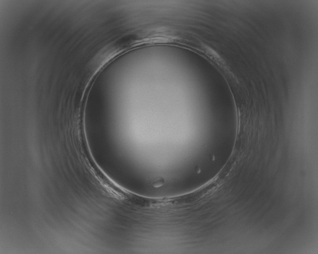 X0000053021186200507081318