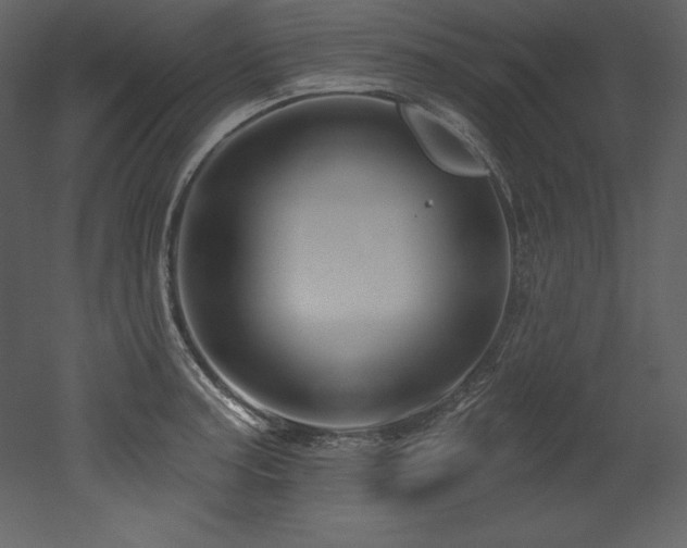 X0000053021187200507081318
