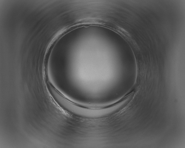 X0000053021188200507081318
