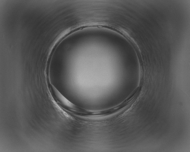 X0000053021189200507081318