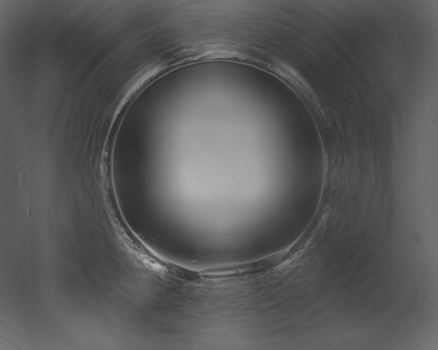 X0000053021190200507081318