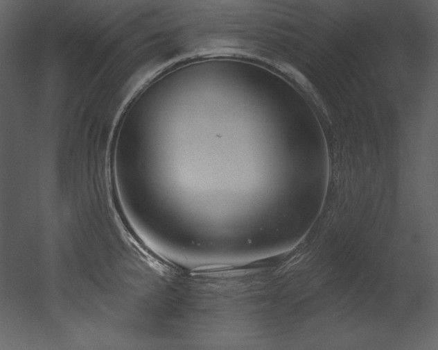 X0000053021191200507081318