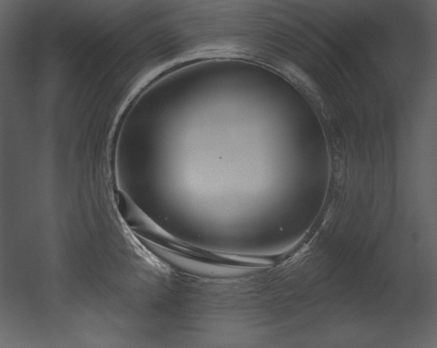 X0000053021192200507081318