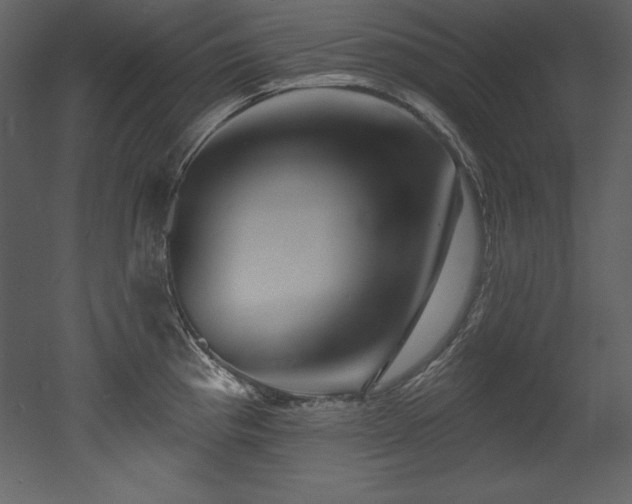 X0000053021193200507081318