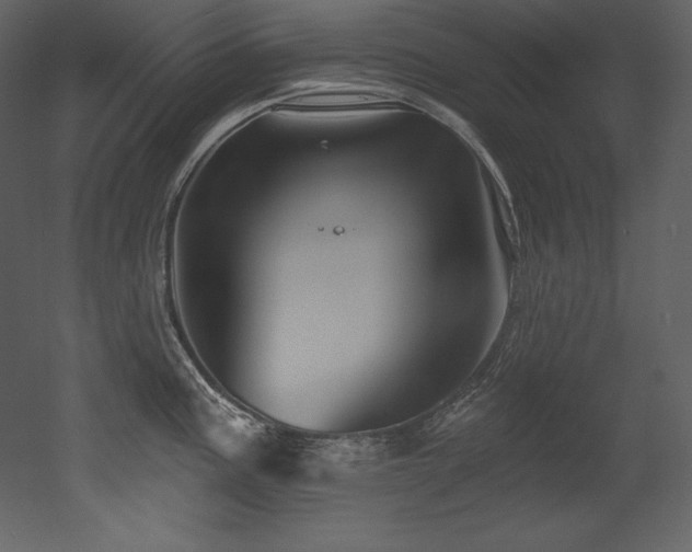 X0000053021195200507081318