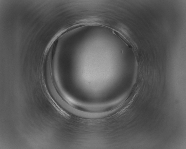 X0000053021196200507081318