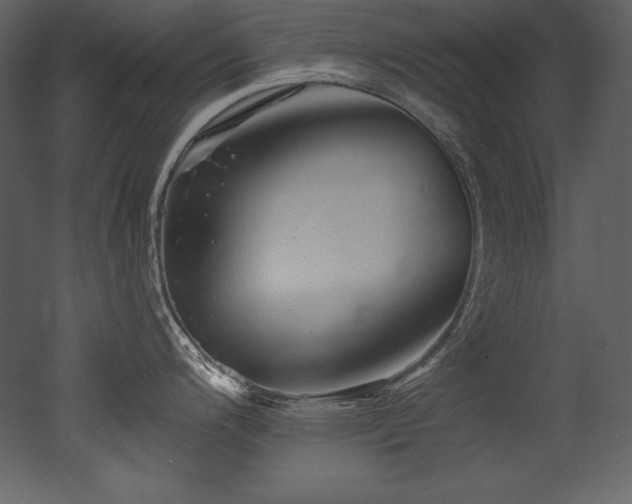 X0000053021200200507081318