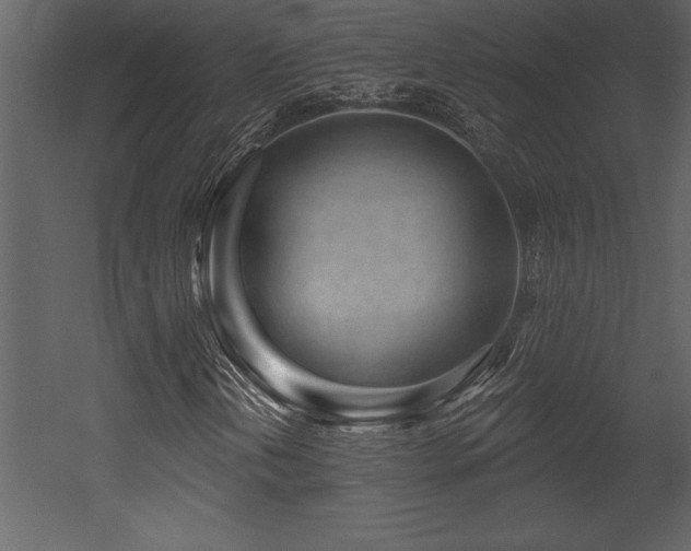 X0000053021202200507081317