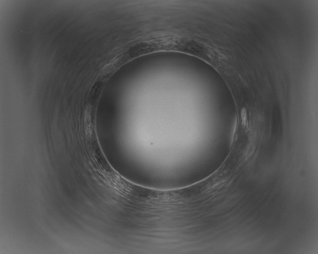 X0000053021203200507081317