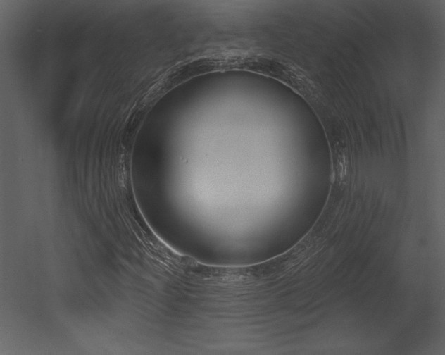 X0000053021204200507081317