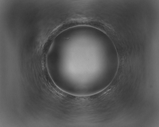 X0000053021205200507081317