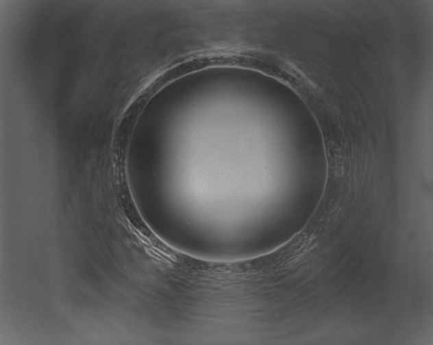 X0000053021208200507081317