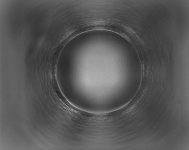 X0000053021209200507081317