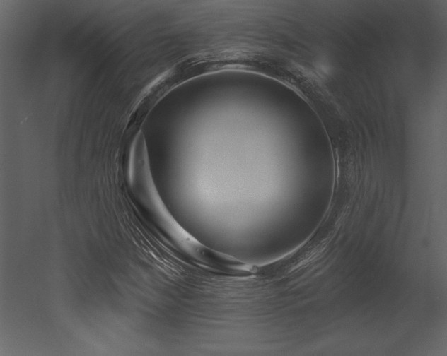 X0000053021210200507081317