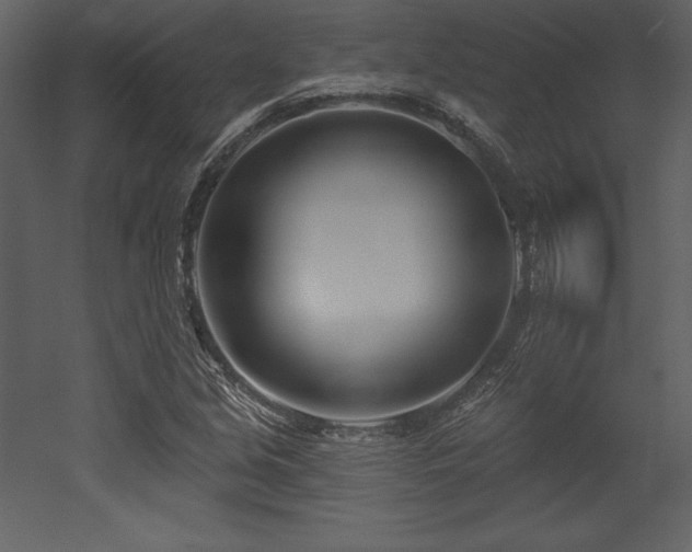 X0000053021213200507081317