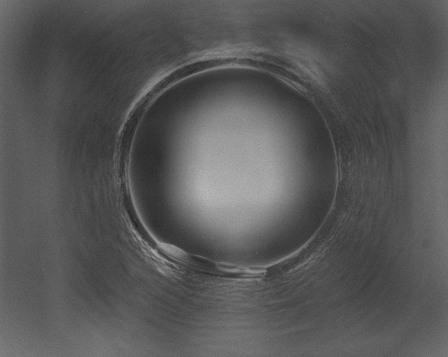 X0000053021216200507081317