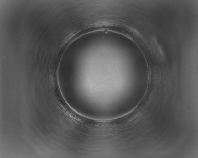 X0000053021217200507081317