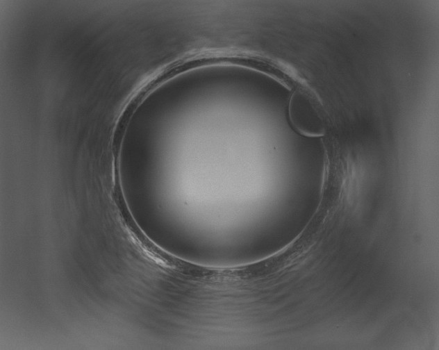 X0000053021221200507081317