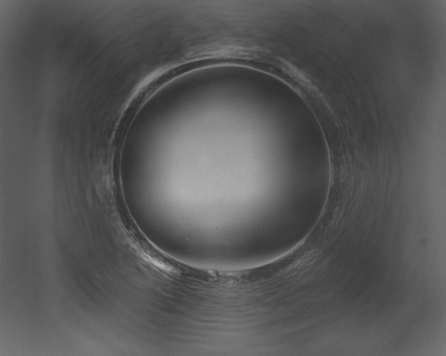 X0000053021222200507081317