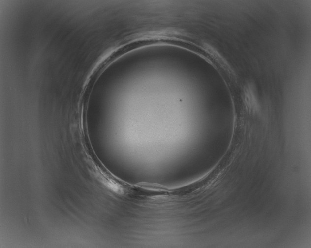 X0000053021224200507081317