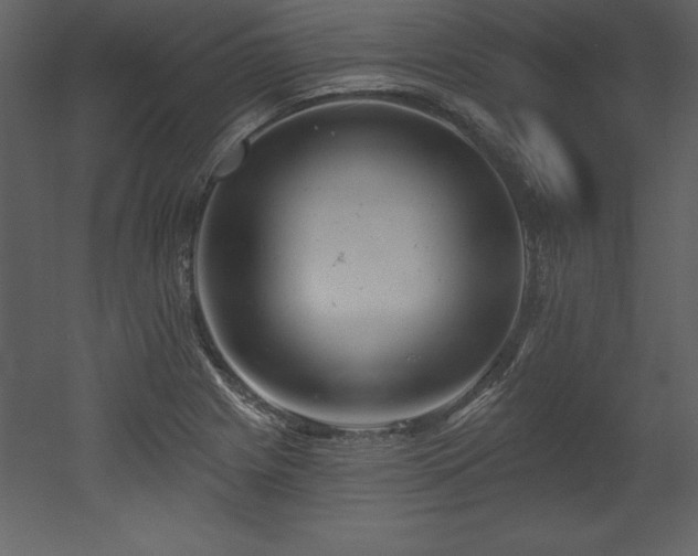 X0000053021225200507081317