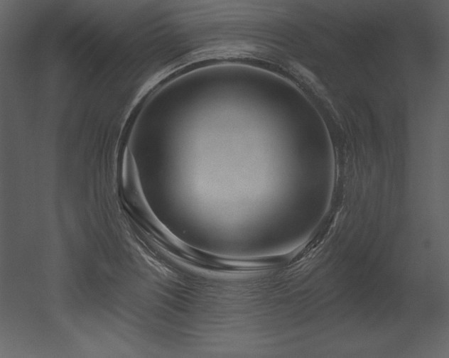 X0000053021226200507081317