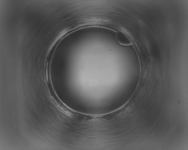 X0000053021227200507081317