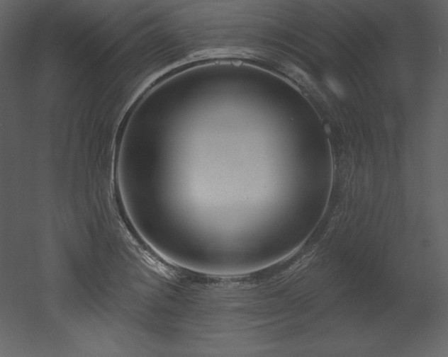 X0000053021228200507081317