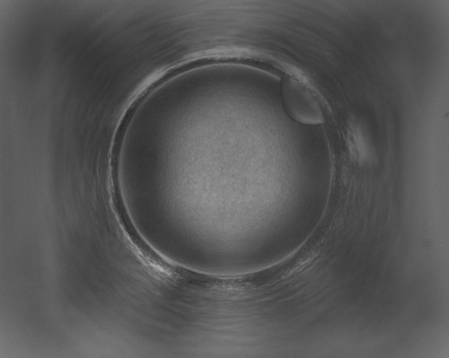 X0000053021229200507081317