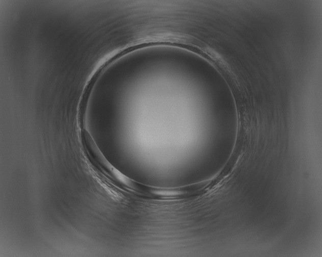 X0000053021230200507081317